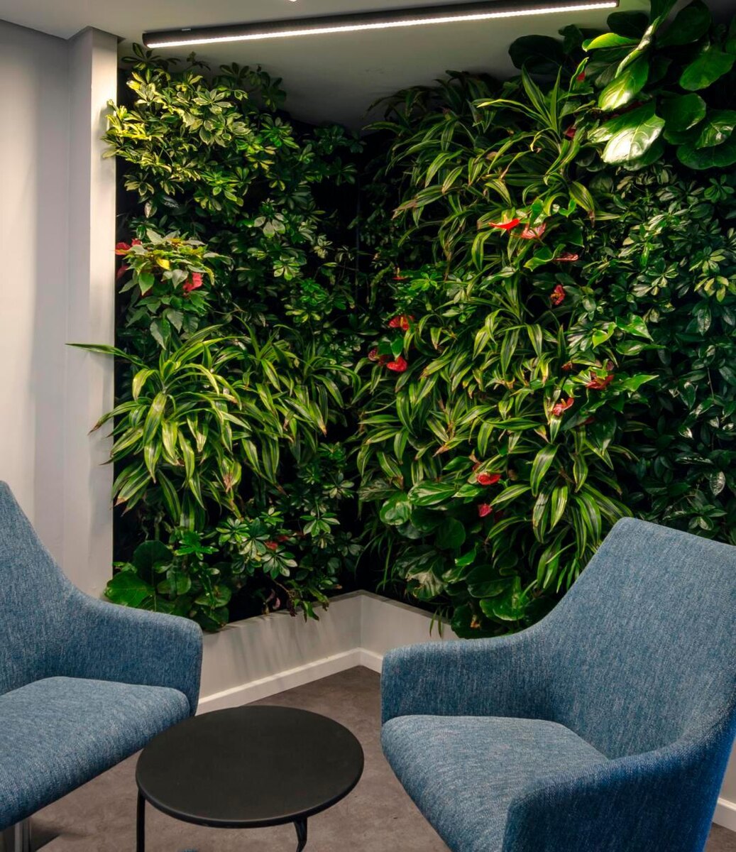 Фитостена из живых растений NatureWalls