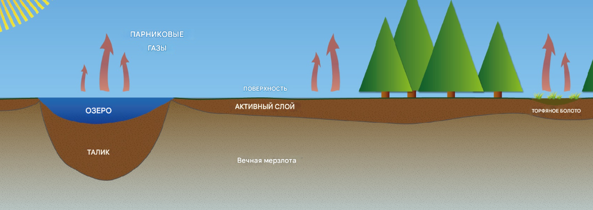 Даже за короткое северное лето эта мерзлота не подтаивает
