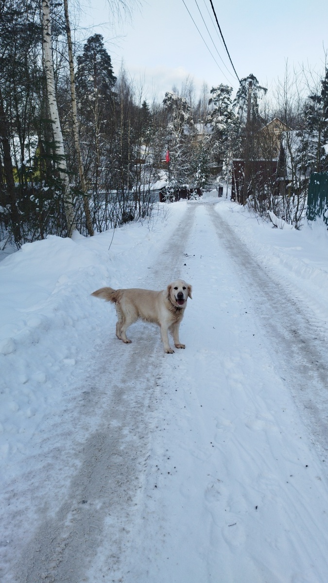 Ева наконец-то набегалась