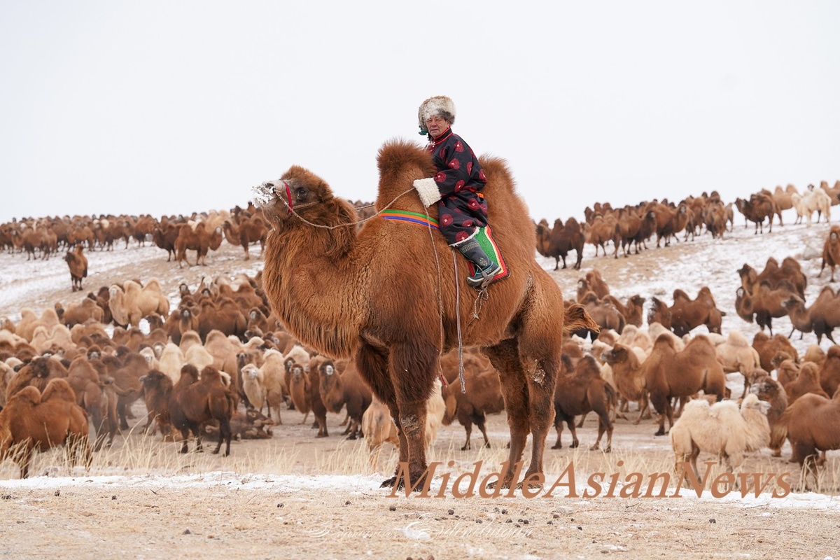 БАЯРМАГНАЙ Эрдэнэ