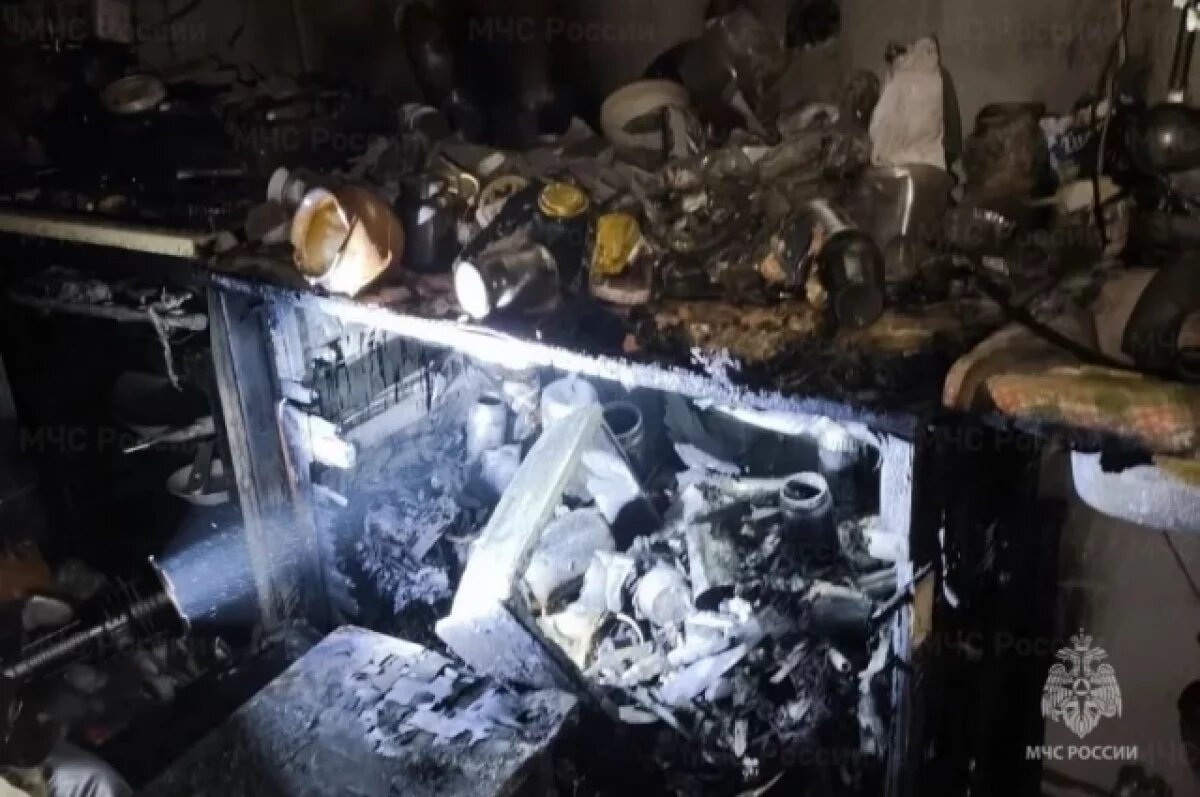    Пожилой мужчина погиб на пожаре в Советском районе Брянска