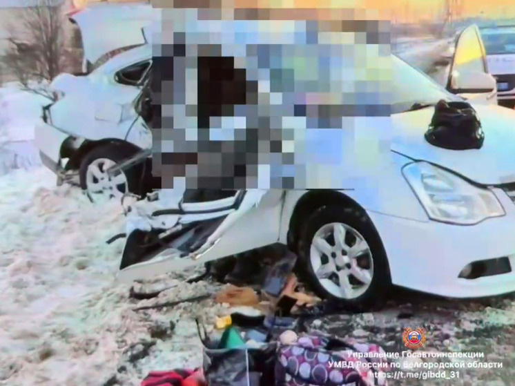     В Белгороде «Ниссан» отбросило в столб после столкновения с КамАЗом: трое погибли, фото: скриншот со страницы t.me/gibdd_31