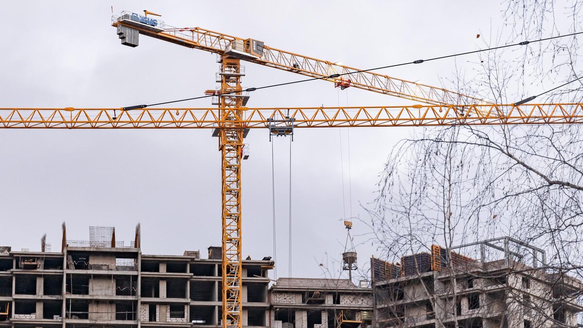    Фото: OlegSpiridonov/globallookpress.com