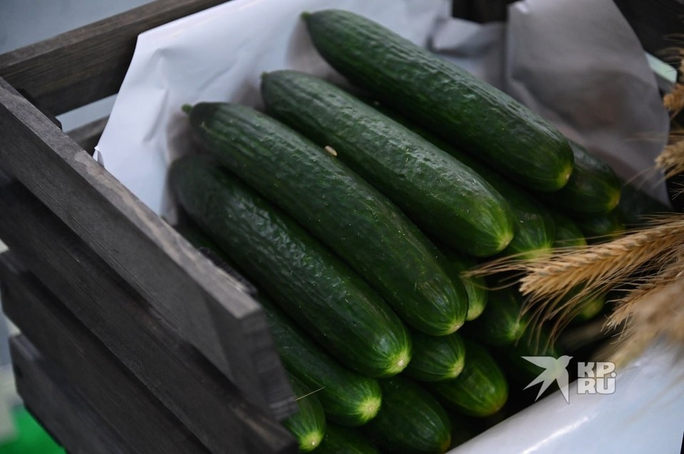    В Екатеринбурге цена на корнеплод начинается от 270 рублей за килограмм Ольга ЮШКОВА