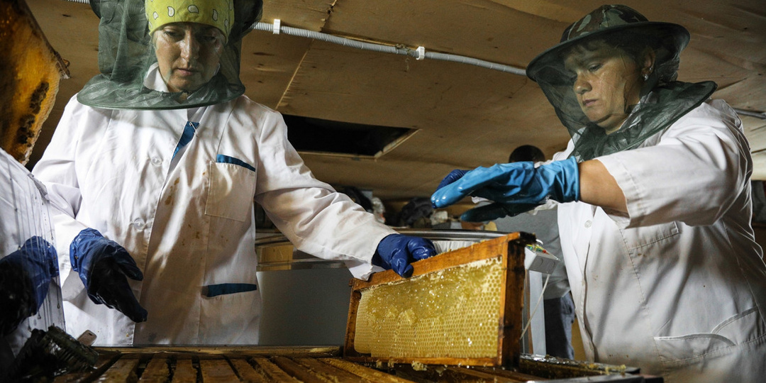 Туляк забыл поставить на учет собственных пчел и получил предостережение