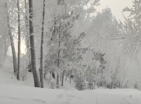     Морозы в Красноярске задержатся ещё на неделю