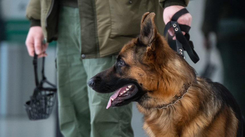    Фото: www.globallookpress.com/Ilya Moskovets