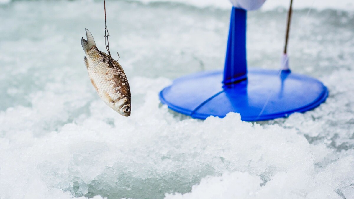    Фото: Fuss Sergey/Shutterstock/Fotodom