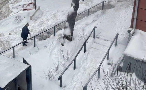 Мультипликатор Юрий Норштейн расчистил снег во дворе вместо коммунальщиков