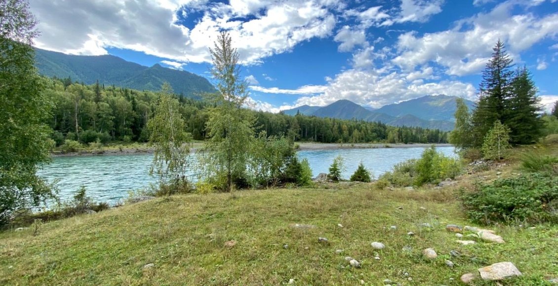    Фото: НИА "Экология"