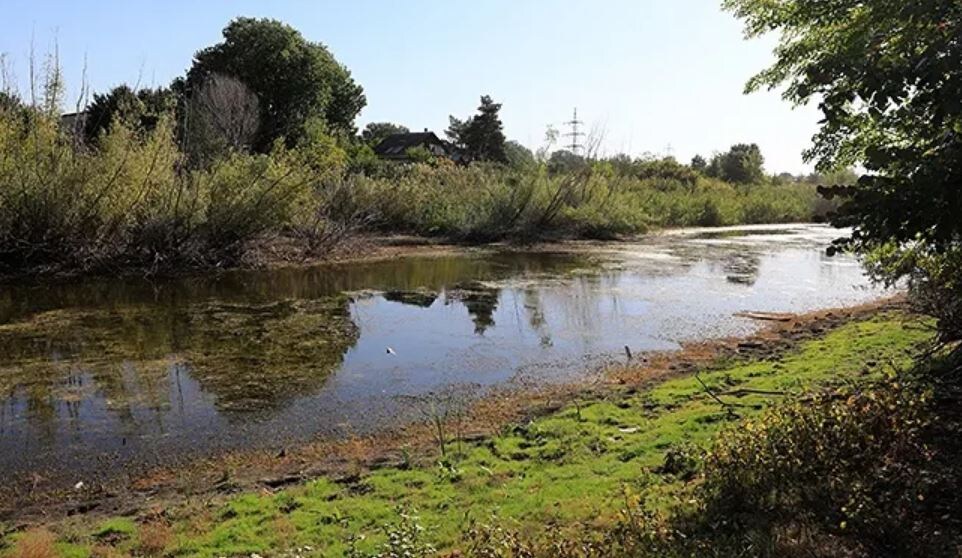 Иллюстрация из открытых источников