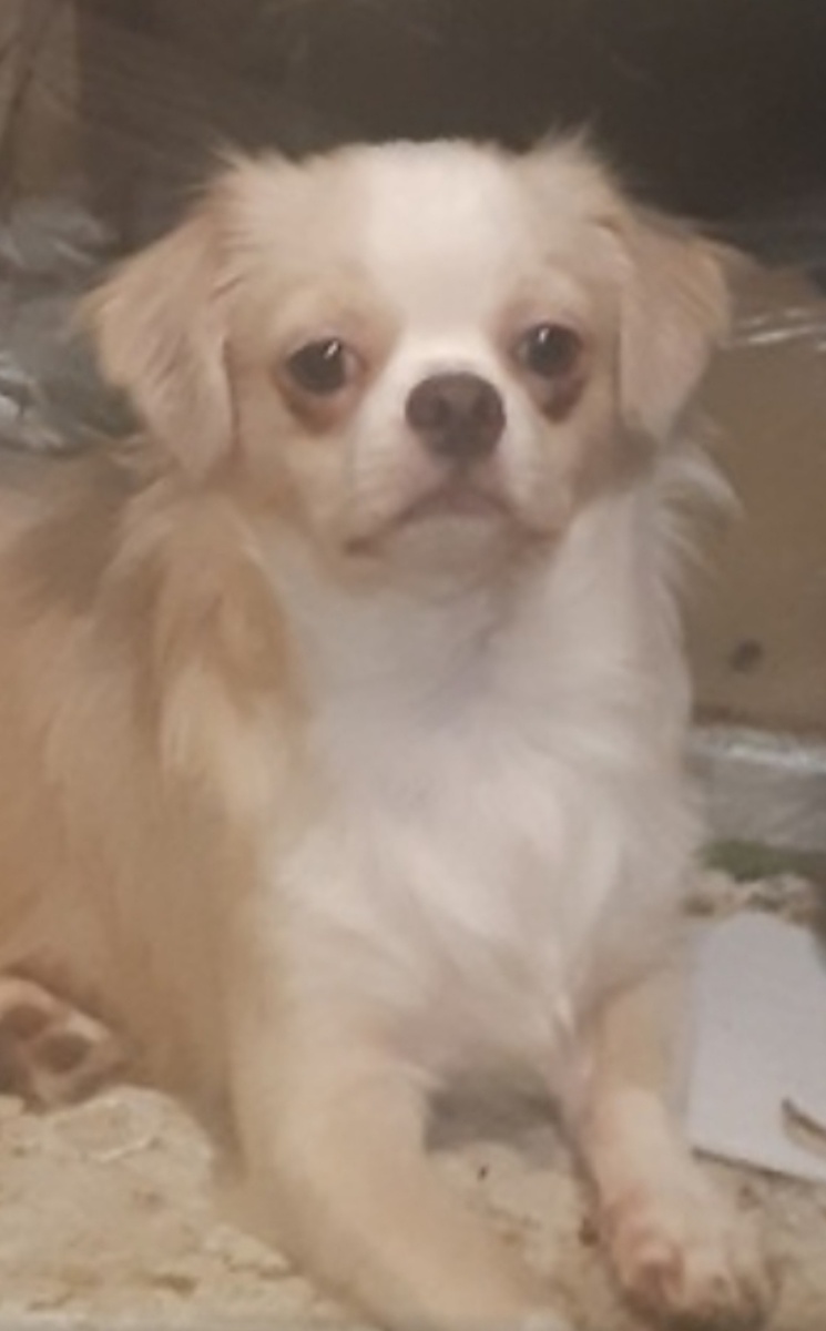 Это совсем сначала.