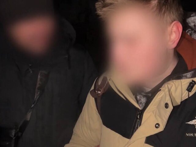    Фото: телеграм-канал "Ирина Волк"