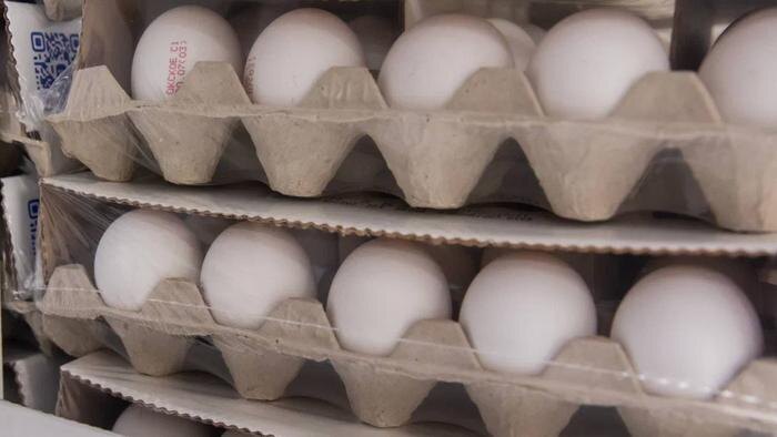 Обложка © Life.ru