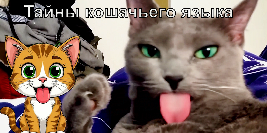 Тайны кошачьего языка: почему он такой шершавый и зачем это нужно