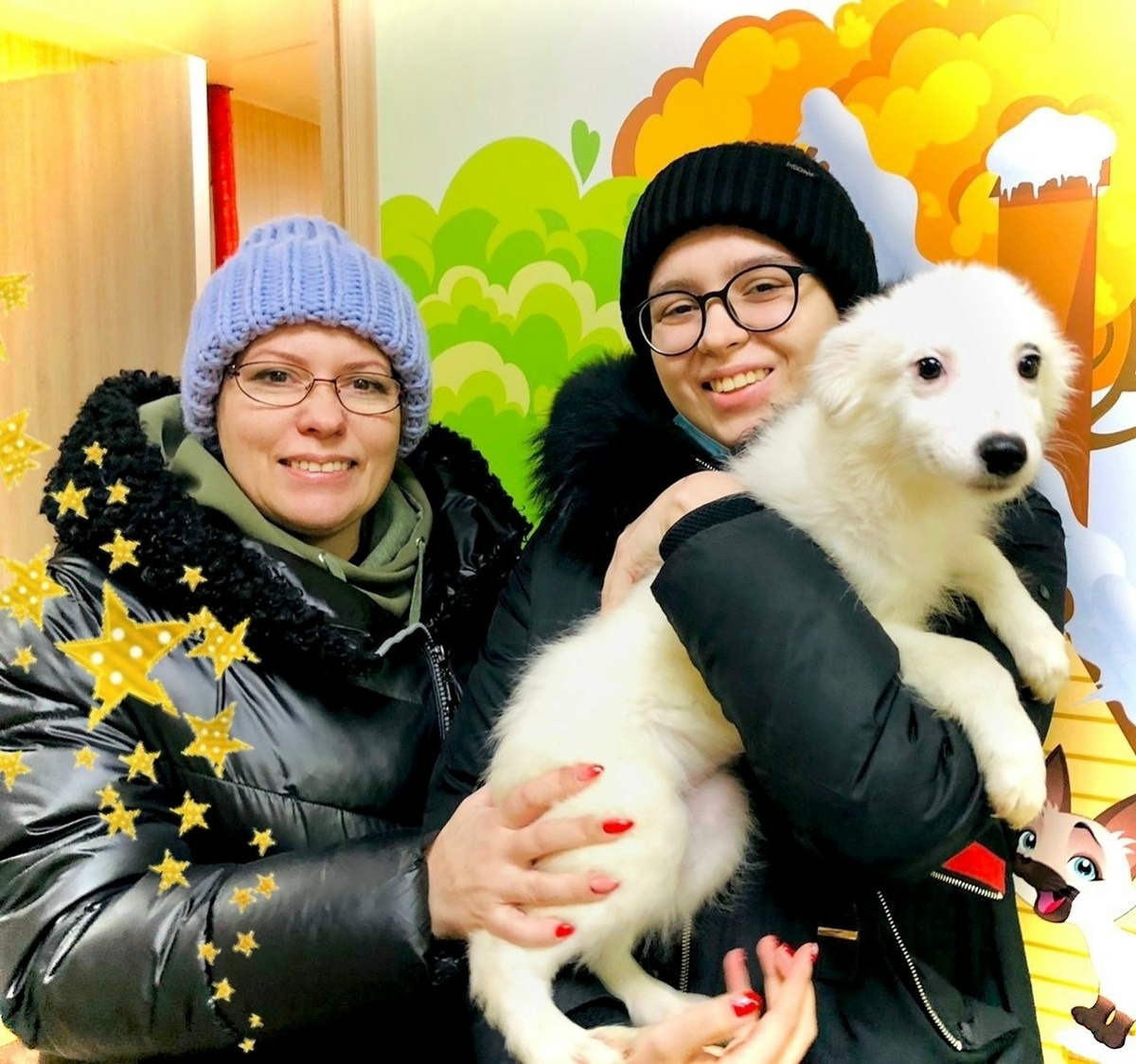 Четыре года назад семья влюбилась в этого ушастого ребёнка раз и навсегда.