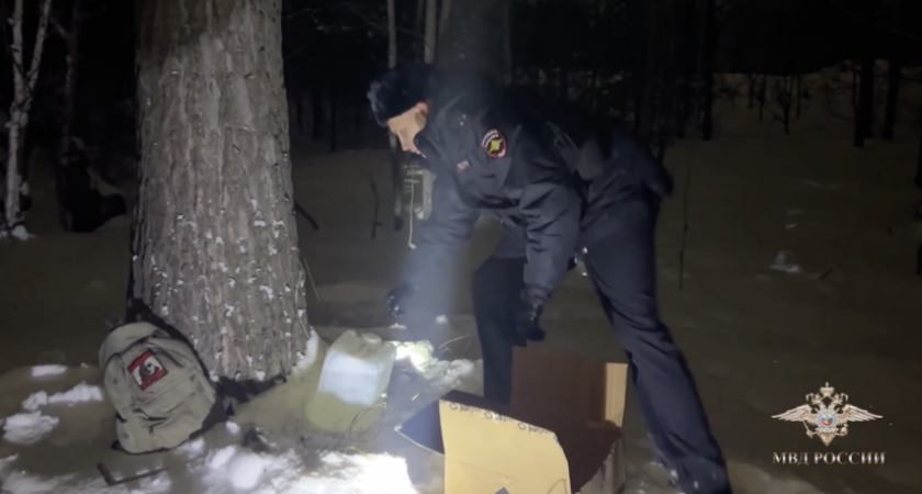    Telegram-канал Ирины Волк