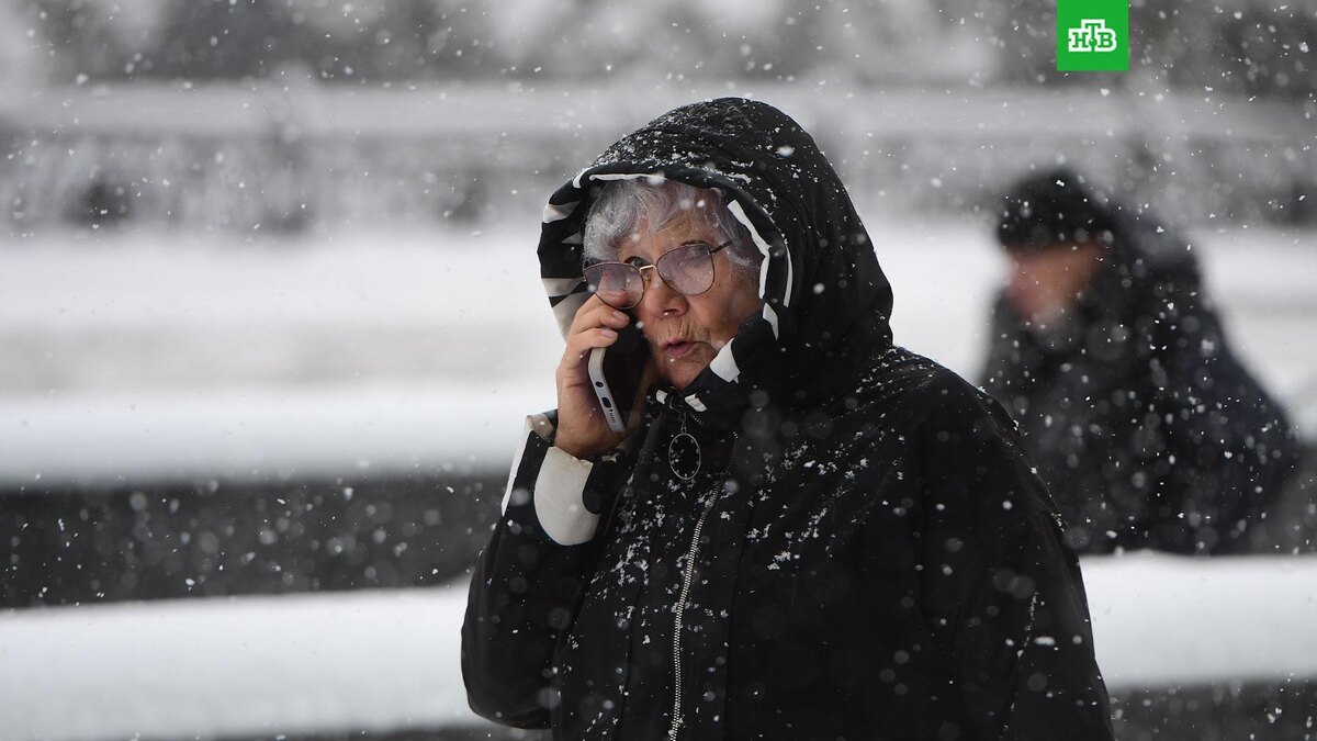    Фото: РИА Новости © 2026, Владимир Николаев