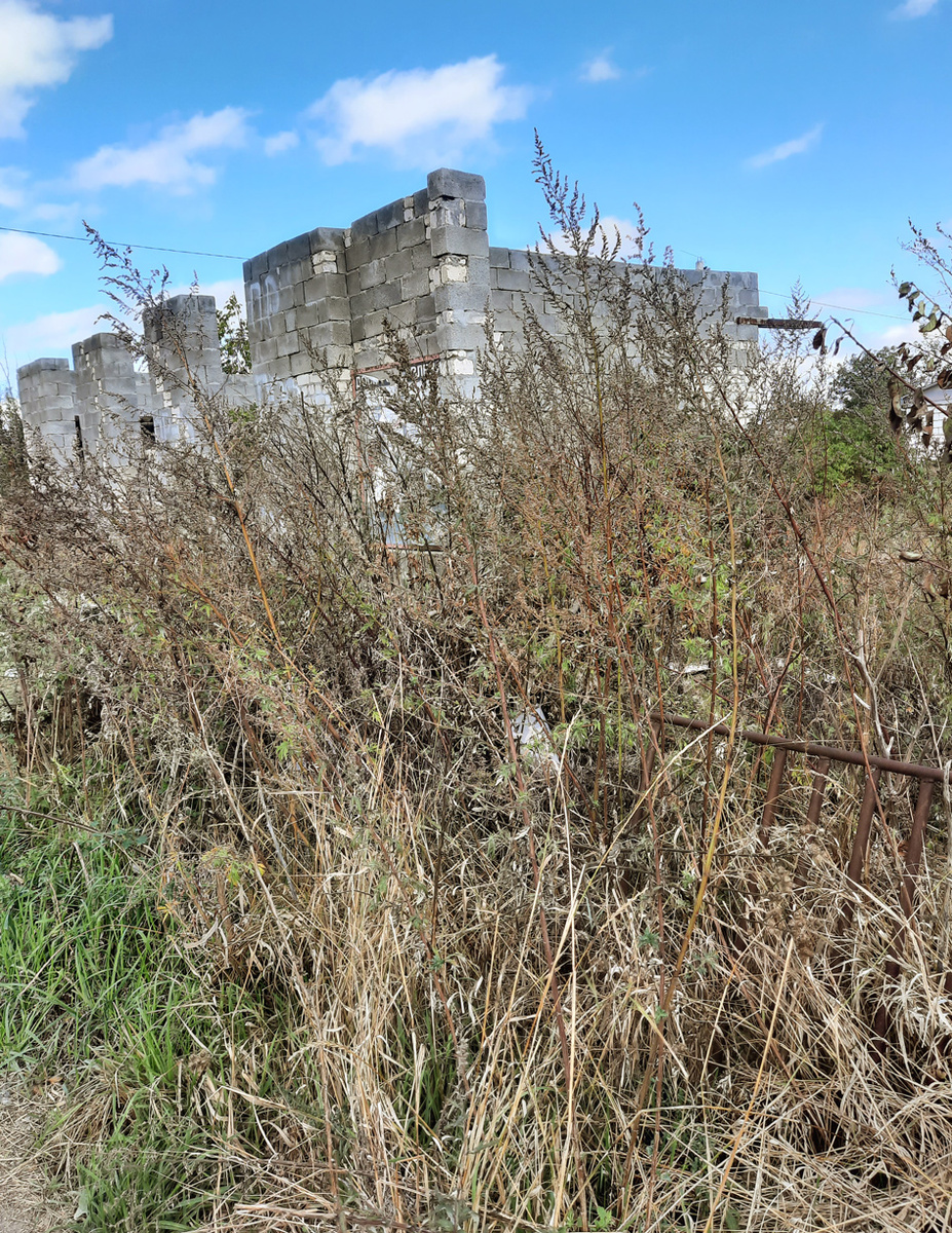 И таких дач в регионе множество. Фото Полины СЕМЕНЧЕНКО.
