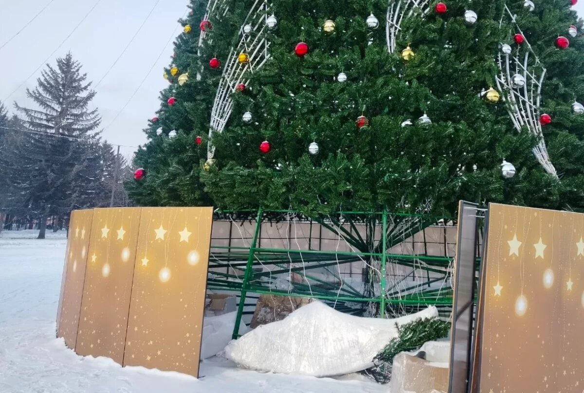    Неизвестные вандалы частично уничтожили главную ёлку ЕАО