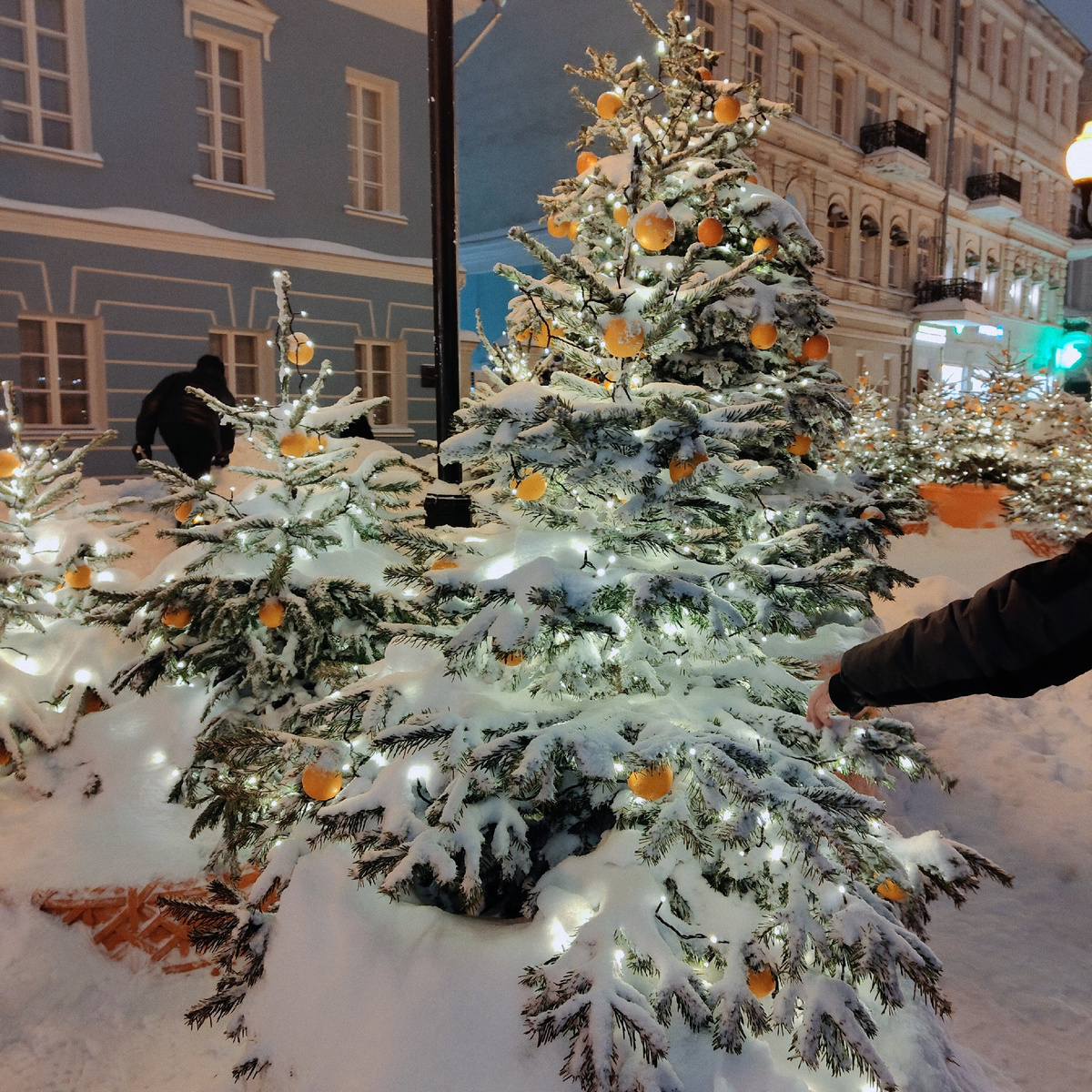 Снежная красота в Москве (фото автора)