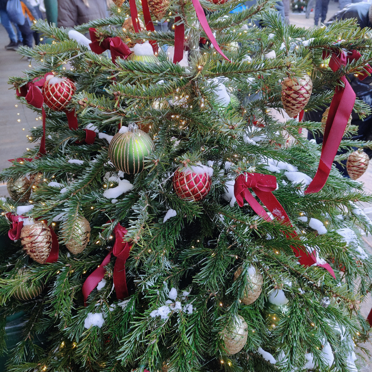 Зима в Москве (фото автора)