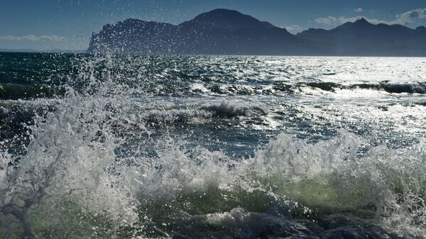    © РИА Новости . Сергей Мальгавко