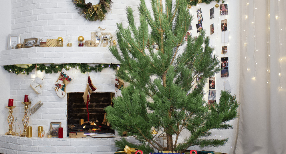 7 лайфхаков, как правильно убрать елку и не превратить следующий Новый год в квест