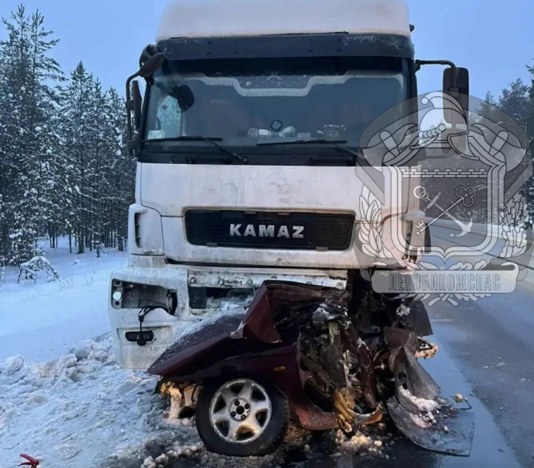    фото: © ГКУ «ЛЕНОБЛПОЖСПАС»