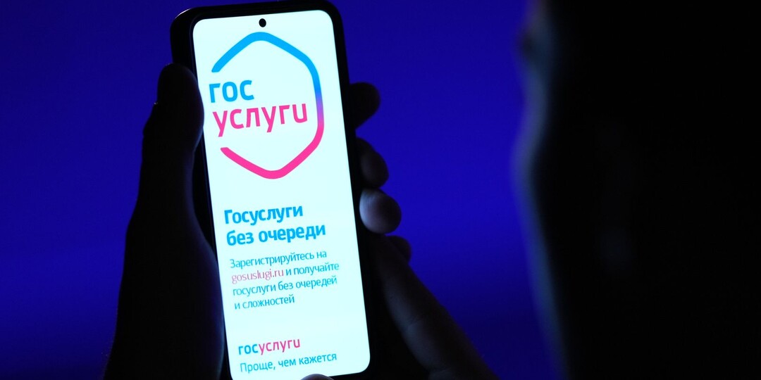 В МВД рассказали о схеме мошенников с просьбой позвонить в техподдержку «Госуслуг»