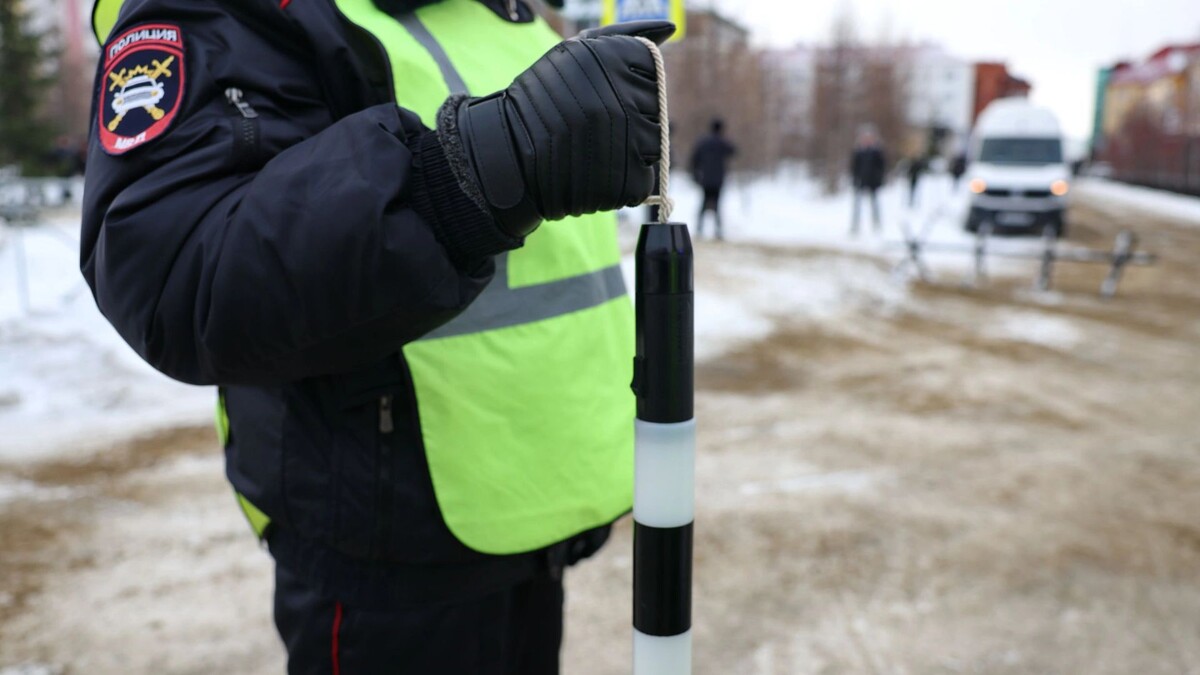    Фото: Андрей Ткачев/«Ямал-Медиа»