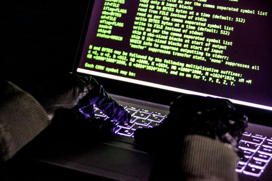    Сергей Лантюхов/NEWS.ru