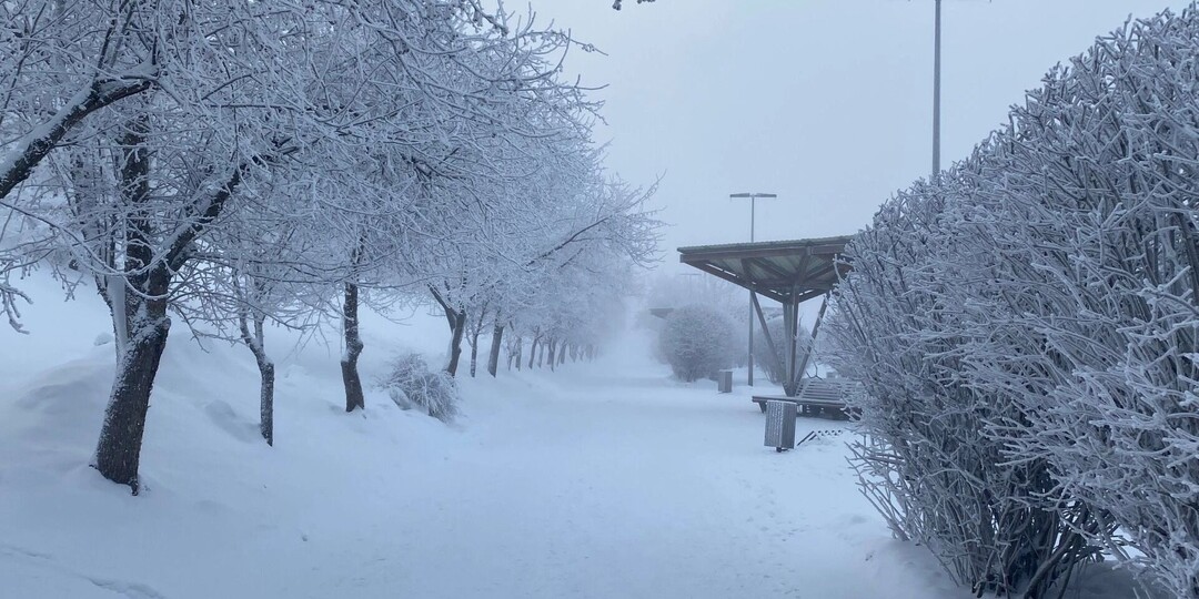 Когда из Красноярска уйдут 40-градусные морозы? Отвечает синоптик