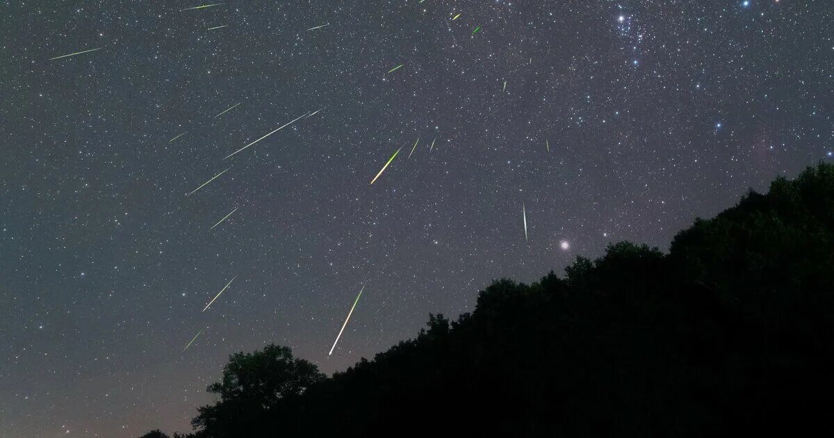 Фото: Vito Technology