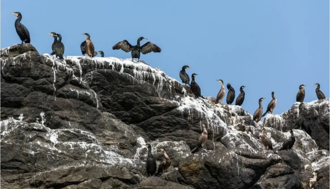 Фото из соцсетей