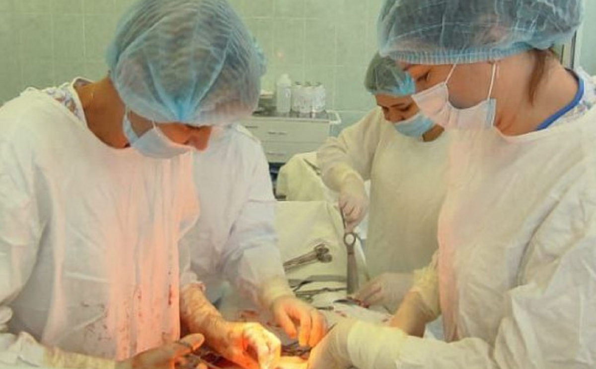 Фото: министерство здравоохранения Новосибирской области 