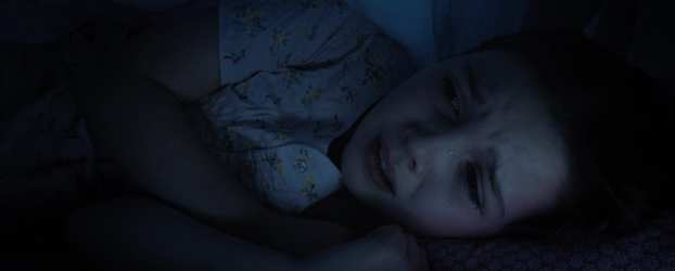 Поймать монстра (2025) Dust Bunny18+