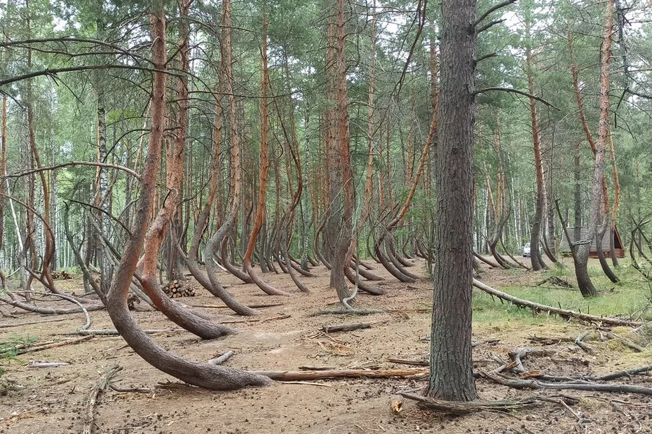 Фото: Ольга Лаухина / Яндекс Карты