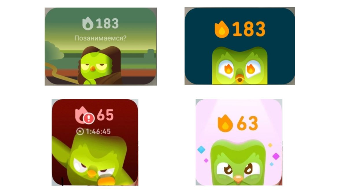 Сова олицетворяет эмоции, меняющиеся в зависимости от активности пользователя