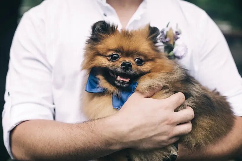     © "Интерфакс". Егор Сильченко