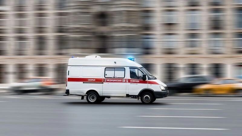    Фото: Haggardous50000/Shutterstock/Fotodom