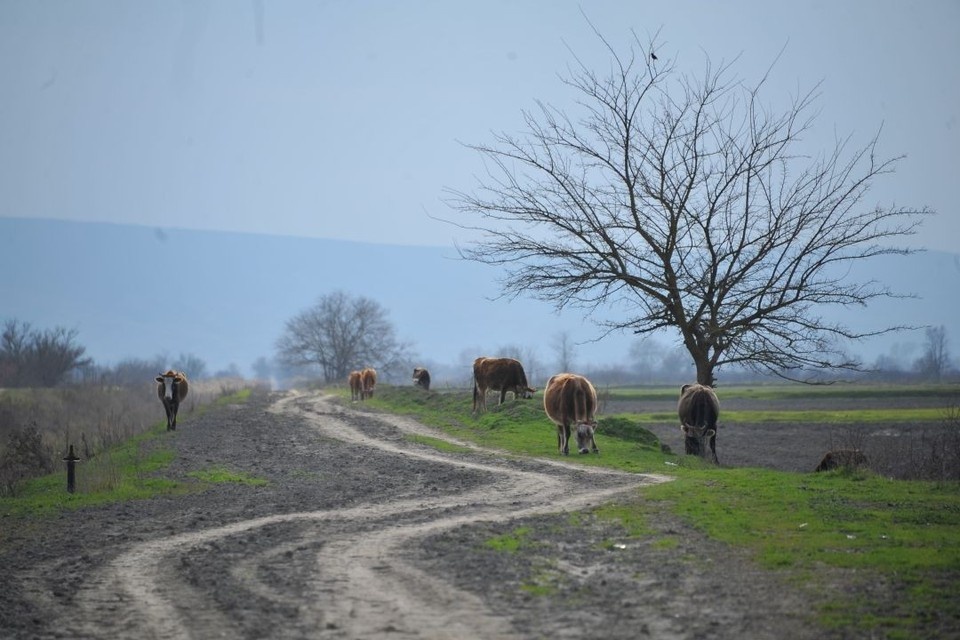    Ограничения действуют с 16 января по 16 марта 2026 года Евгения ГУСЕВА