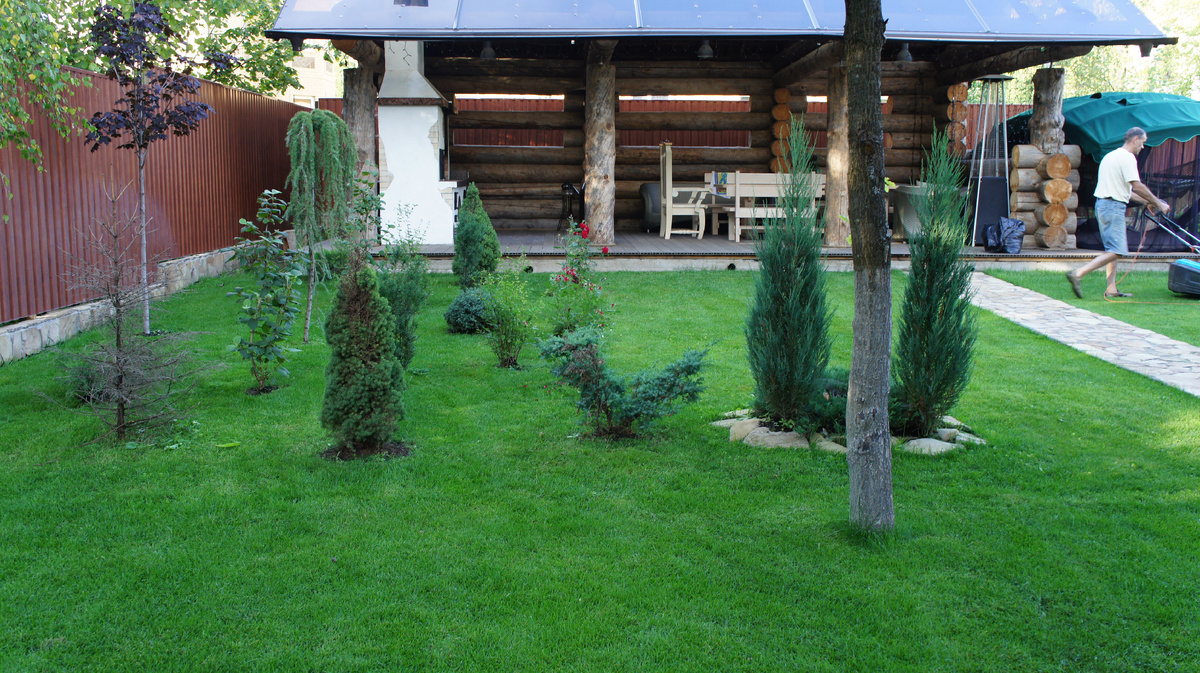 Фото с нашего объекта ДО переделки. Высажено много разнообразных хвойных, без идеи и какой-либо композии. Результат - вид из беседки совсем не радует. 