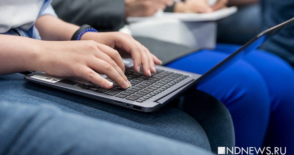 В МВД рассказали о новой мошеннической рассылке под видом «Госуслуг»