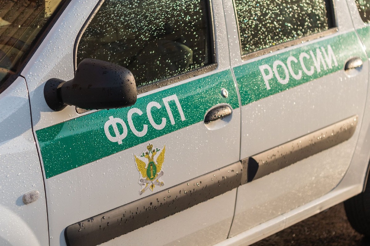    Фото: iStock/Evgeniy Grishchenko