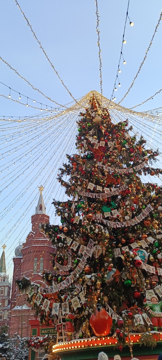 Фотографии сделаны автором канала