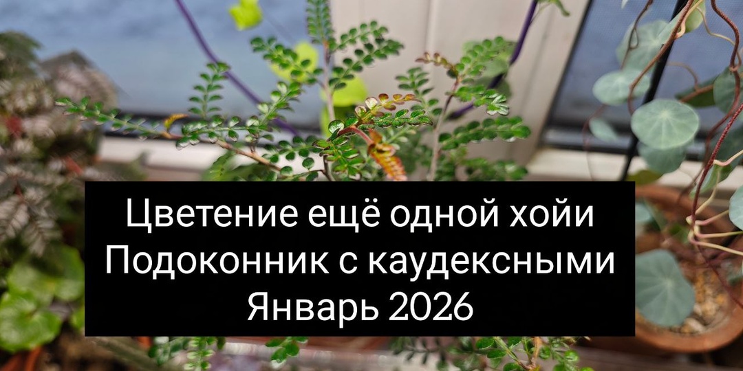 Добрый день уже