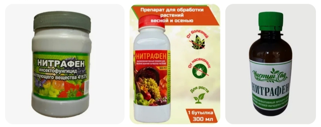 Запрещён во всем Мире! 