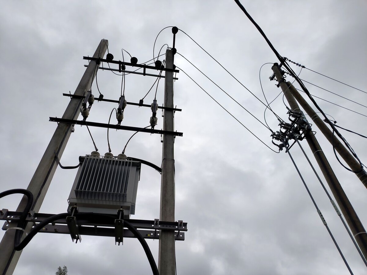     / Источник: © Global Look Press