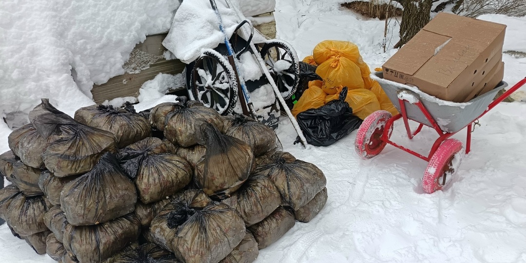 Рысиные характеры